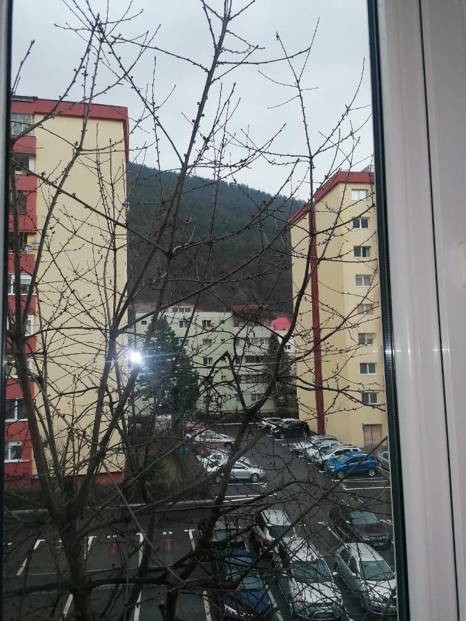 Apartament Racadau Brașov Exterior foto